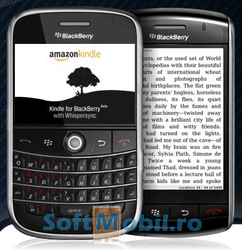 Kindle BlackBerry